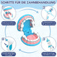 Lehoo Castle Arztkoffer Zahnarzt Kinder Doktor Rollenspiel Lernspielzeug Spiel - NEU