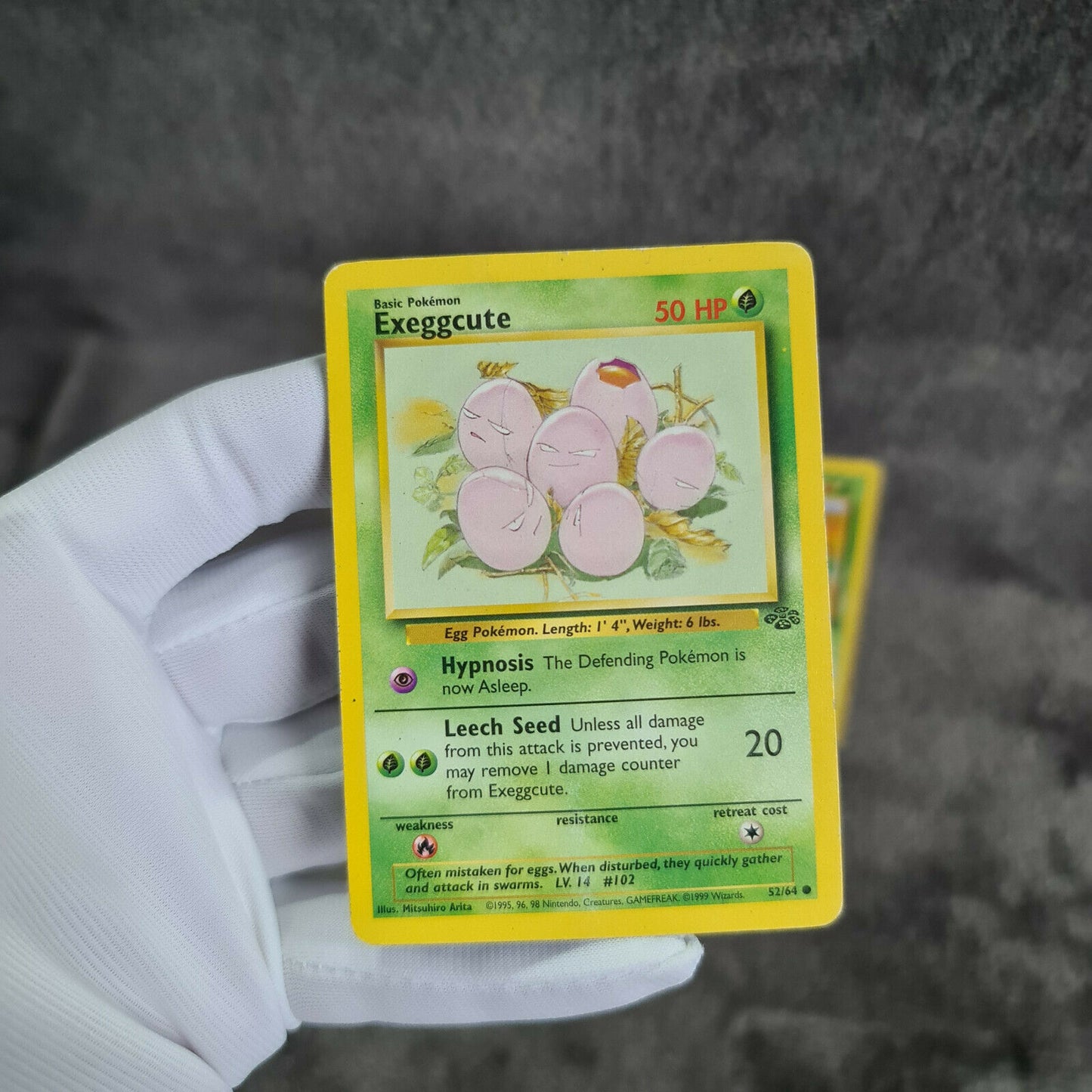 Pokemon Karten | Exeggcute 52/64 & Exeggutor 35/64  | TCG | Near Mint