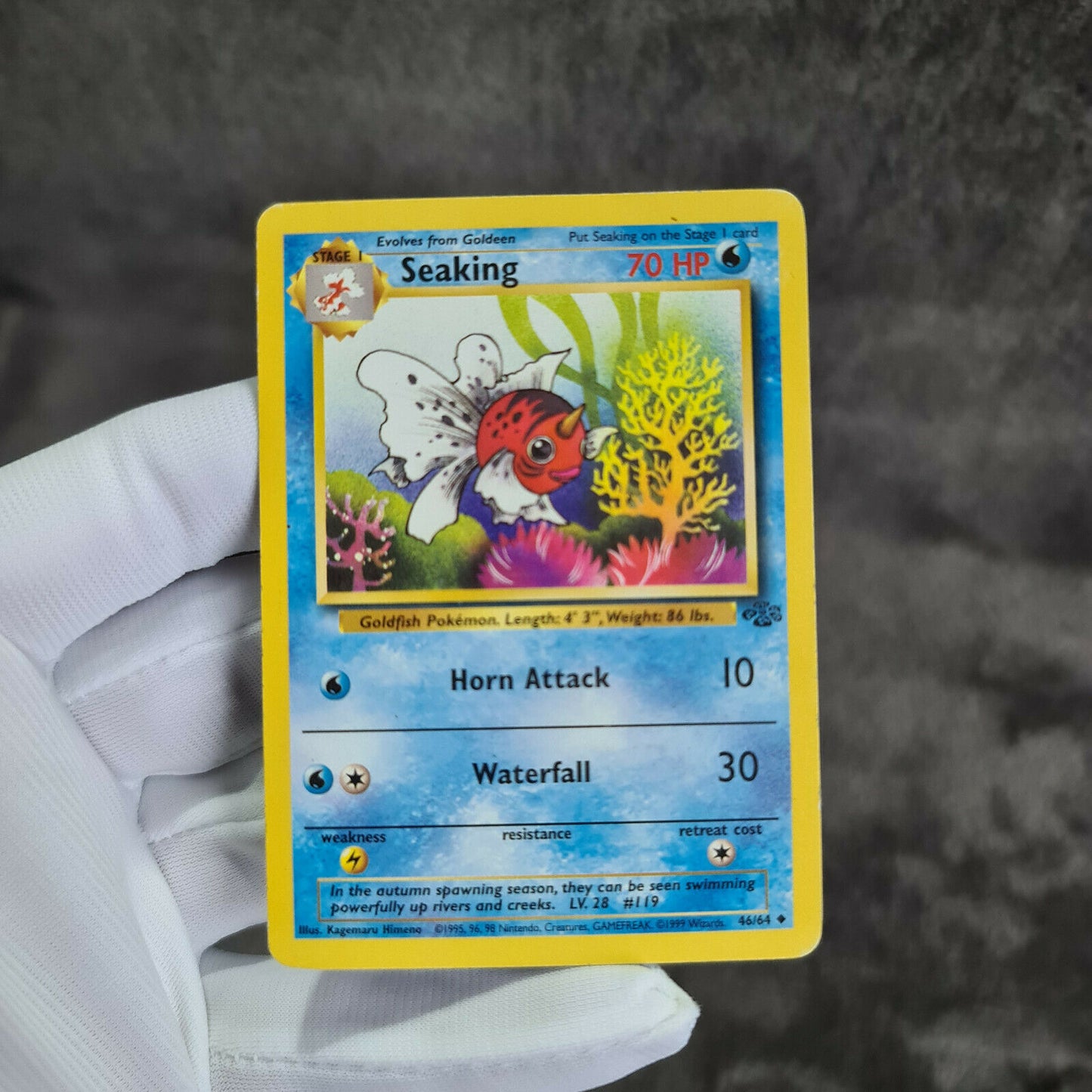 Pokemon Karten | Goldeen 53/64 & Seaking 46/64  | TCG | Near Mint