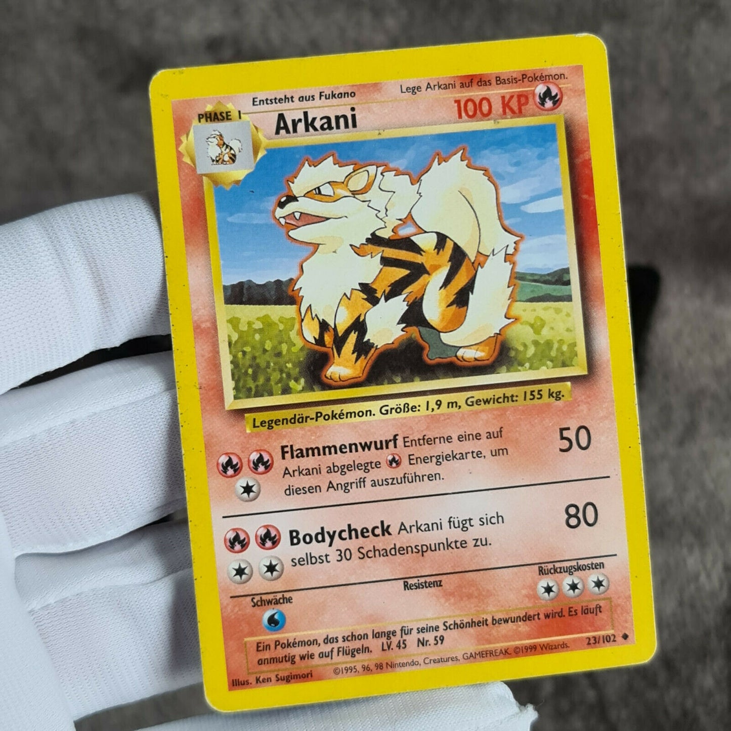 Pokemon Karten | Fukano 28/102 | Arkani 23/102 | TCG | deutsch